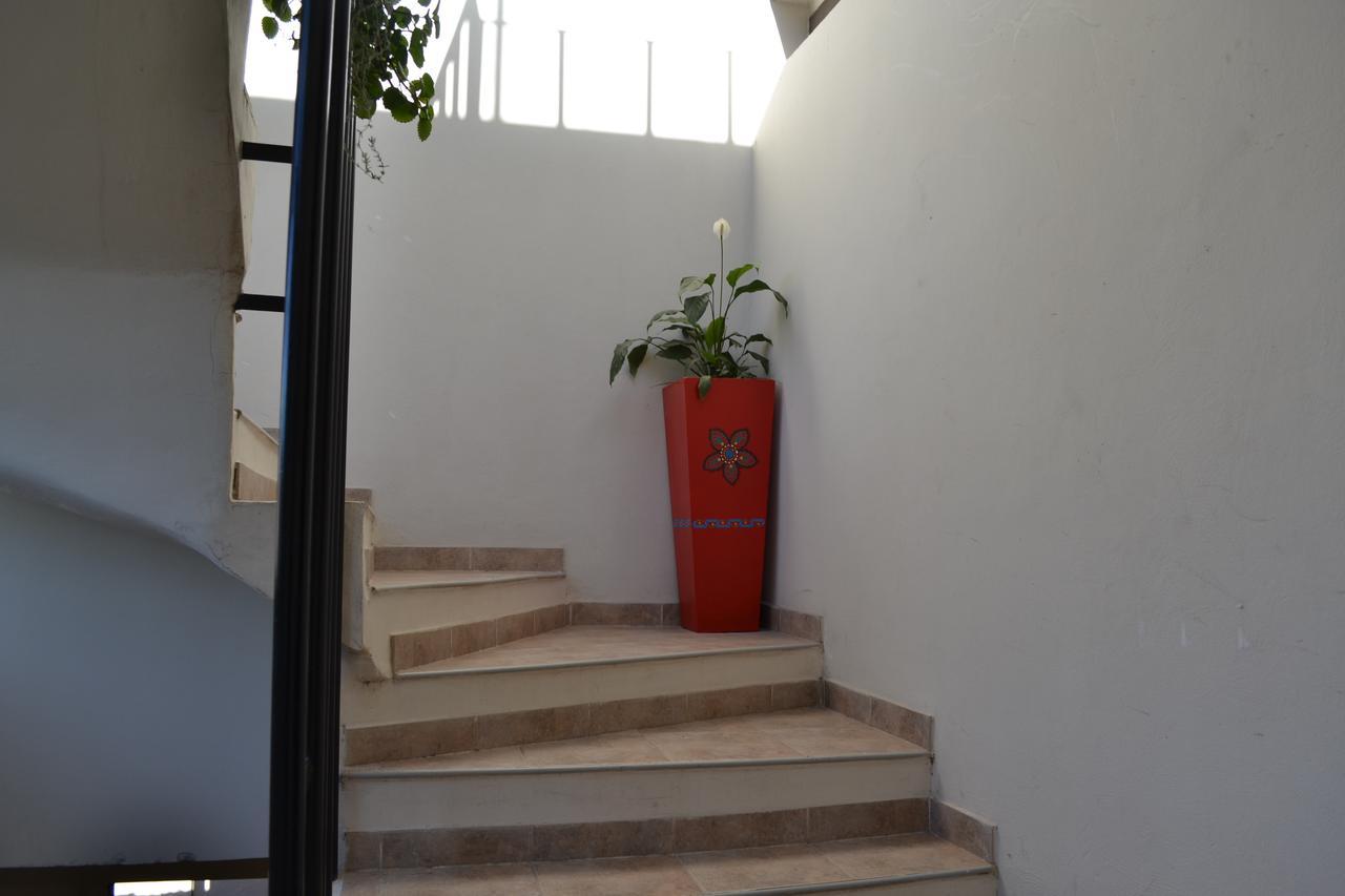 Guest House Jujuy Сан Салвадор де Хухуй Екстериор снимка