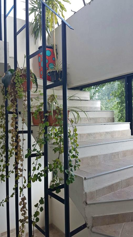 Guest House Jujuy Сан Салвадор де Хухуй Екстериор снимка